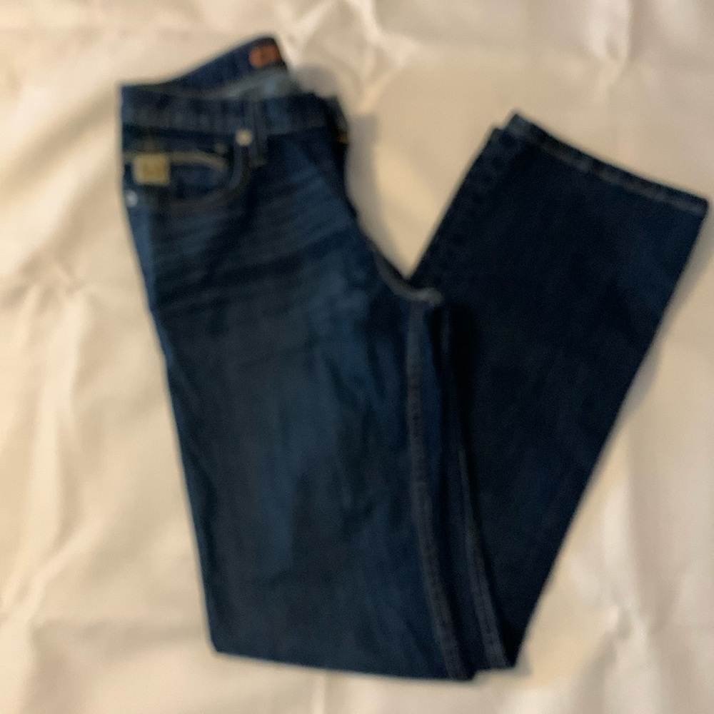 Cinch Ian Men’s Jeans Size 30/34